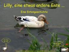 Lilly-Entengeschichte-Präsentation.pdf
